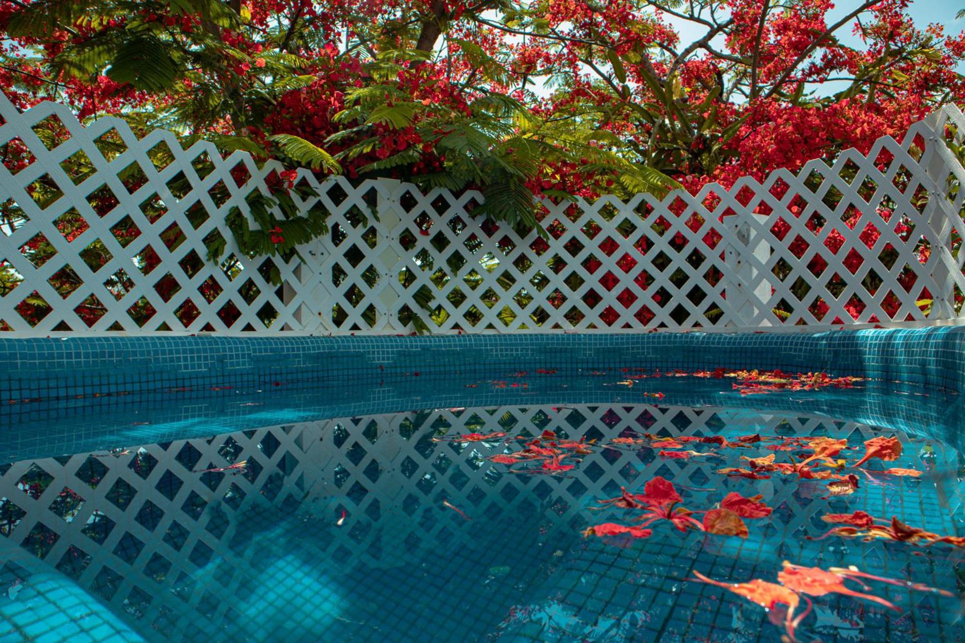 Hotel Casa Wayak Cancún Exterior foto